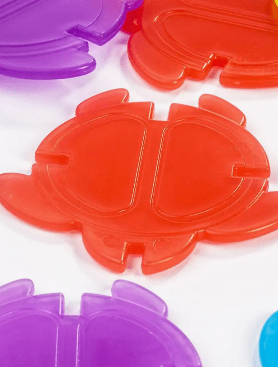 Translucent Coin Turtle Color y posición Translucent Math Turtles - CosasMuchasCosas.com