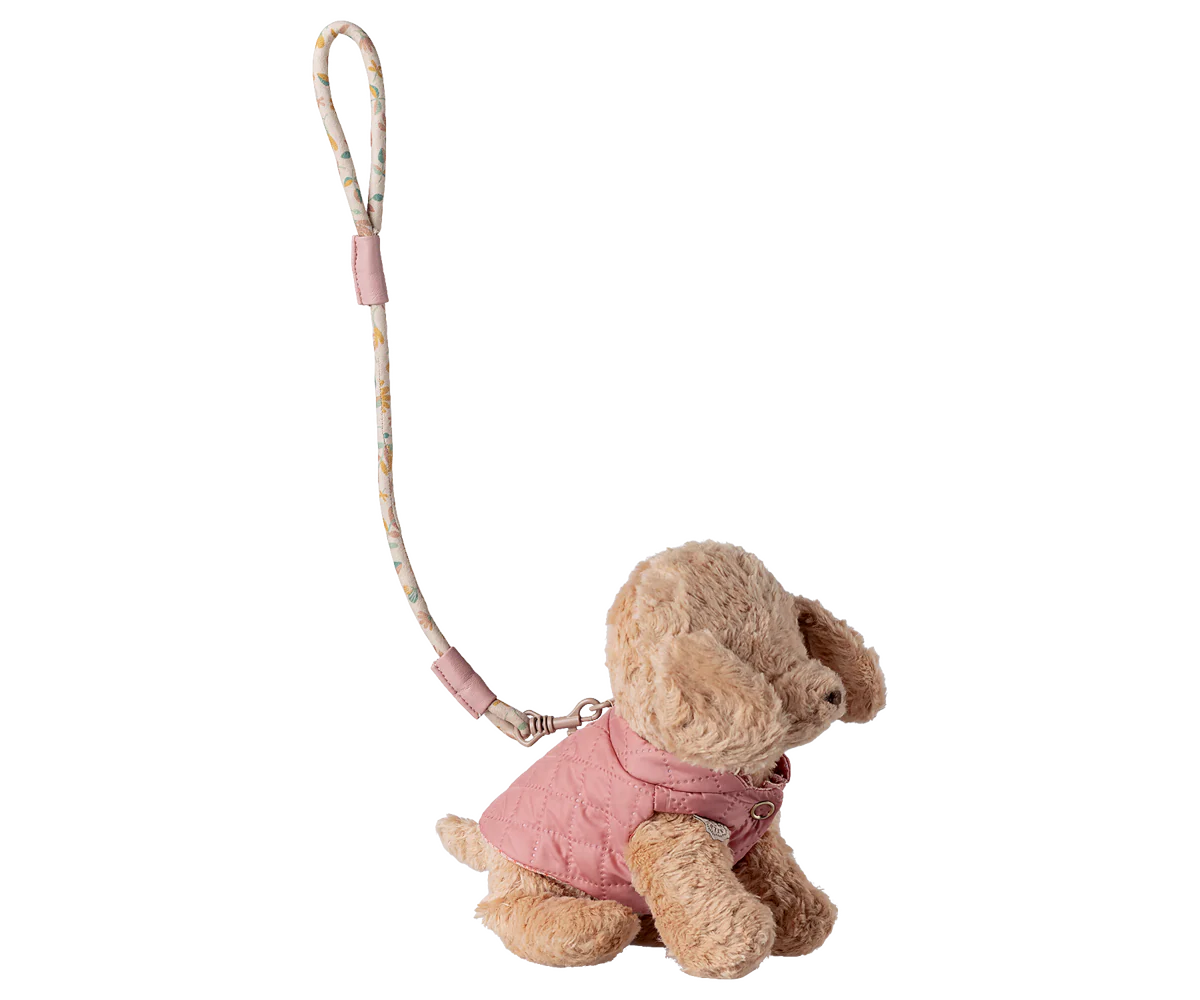 COLOURBOX69925133.png Arnes y correa para cachorro Rosa - Imagen 1