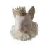 Gato beige claro con corona Mia