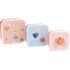 3 Cajas Almuerzo Mouse Fairies Personalizables
